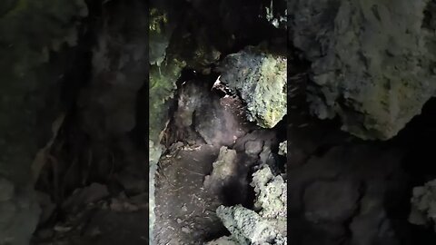 Rangitoto lava cave.