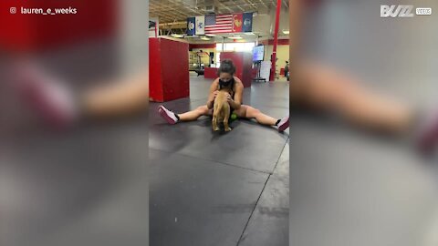 Adorable dog helps athlete chill out before tournament