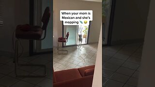Don’t mess with a Mexican Husky mom #funnydogs #cutedogs #husky #dogs #funnyhuskyvideo #dog #mexico