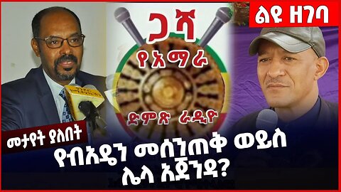 #Ethiopia የብአዴን መሰንጠቅ ወይስ ሌላ አጀንዳ❓❗️ Beaden | Amhara | Fano | OPDO | Prosperity Party Jan-10-2023
