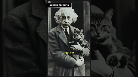 Geniuses And Their Cats!