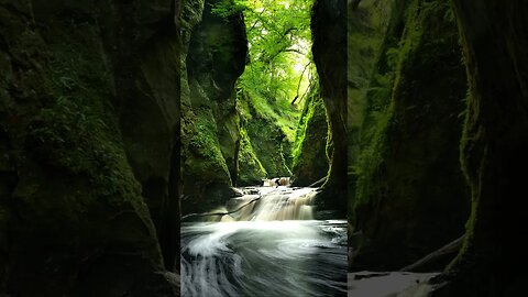 The sound of flowing river water for relaxation #relaxation #flowingriver#watersounds #asmr #shorts