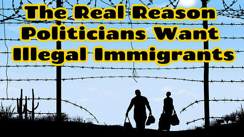 The Real Reason Politicians Want Illegal Immigrants