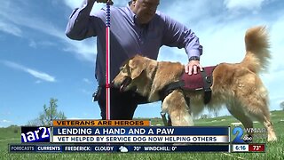 Vet lending a hand and a paw