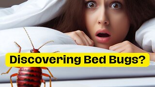 What To Do If You Find Bed Bugs At Home