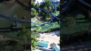 Manta @seaworldorlando #drone #rollercoaster #themepark #dronevideo