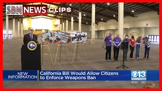 CALIFORNIA BILL WOULD ALLOW CITIZENS TO ENFORCE WEAPONS BAN - 6047