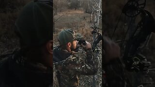 My First Ever Kansas Buck Is Live!