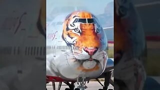 lion plane #shorts