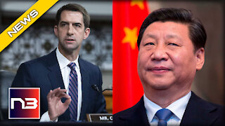 Sen. Tom Cotton Lays the SMACKDOWN - DEMANDS Joe Biden Be Tougher on China