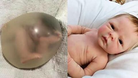 SILICON BABY IN THE WOMB OF A BIRTH