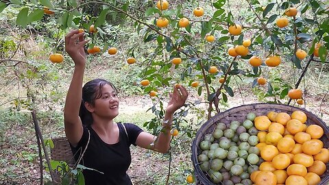 Wild oranges and Wild Gooseberry for snack - Survival fruit in jungle