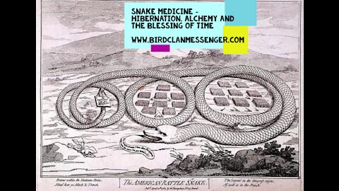 Kitchen Party Snake Medicine, Alchemy, Gratitude & the Blessings of Limbo