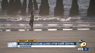 Stretch of Oceanside coastline closed after shark sighting