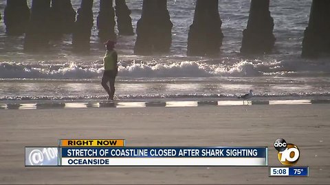 Stretch of Oceanside coastline closed after shark sighting