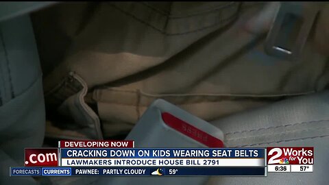 Lawmakers introduce seatbelt bill