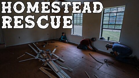 Rescuing a Homestead Before It's Too Late!