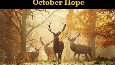 ♏Scorpio~Abundance Manifesting Powerhouse🕊️Your October Hope 🌬️From Spirit
