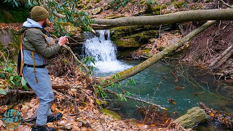 An outstanding day of Fly Fishing! (Small Creek Trout Fishing)