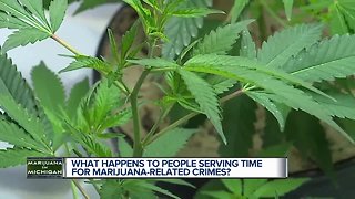 What will happen to people serving time for marijuana crimes?