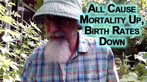 One of the Most Important Stories Is that All Cause Mortality Is Up & Birth Rates Are Down [ASMR]