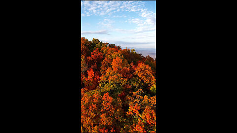 Autumn Wind