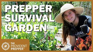 Survival Garden Design Basics for Preppers