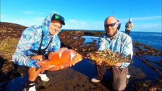 FISHING PARADISE FOR A HUGE VARIETY OF FISH SPECIES! DE HOOP MARINE PROTECTED AREA HIGHLIGHTS! Ep.3