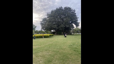 Enjoyment Time Jinnah Park Rawalpindi #enjoyed #jinnahpark #rawalpindi #tranding #viral #vlog