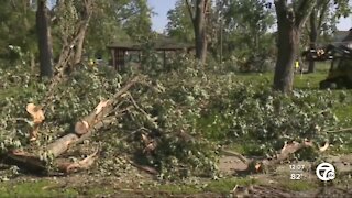 Residents cleaning up after EF-1 tornado in Armada