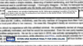 Collins' constituents urge stiff sentence from judge