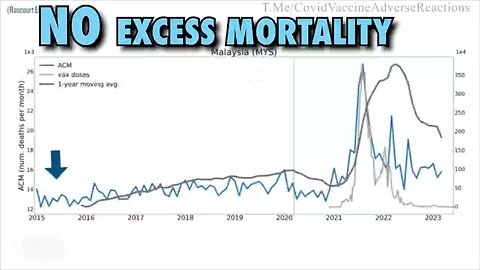 Excess Deaths - What Big Pharma, Your Government & The Mainstream Media didn’t want you to know.