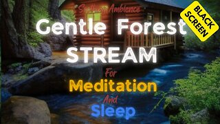 8 HOURS Soothing Sounds to Sleep INSTANTLY Spring Stream Relaxation Nature White Noise Ambience