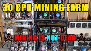 Inside My 30 CPU Mining Farm | MINING IS NOT DEAD!!!