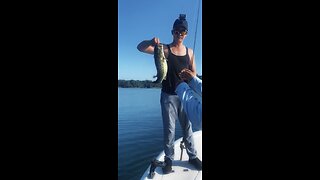 Massive bass fishing on Lake Lanier GA