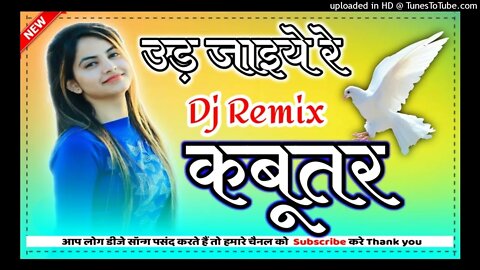 Kabootar - Renuka Panwar, Pranjal Dahiya,Surender Romio, Aman Jaji, Rakesh Majreya|Dev Remix Zone