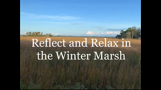 Relax and Reflect in the Winter Marsh