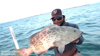 Miami SALTWATER Fishing!