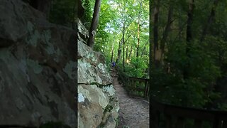 Beautiful hike into Cloudland Canyon!