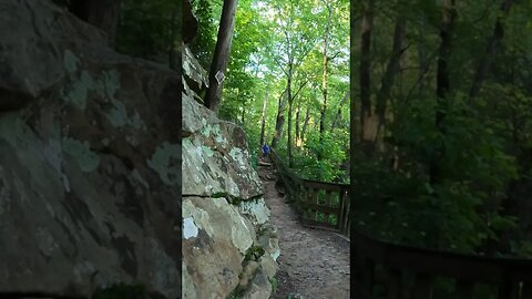 Beautiful hike into Cloudland Canyon!