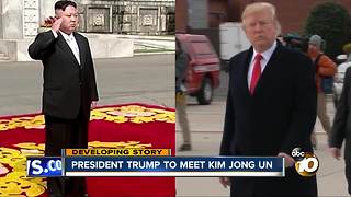 President to meet Kim Jong Un