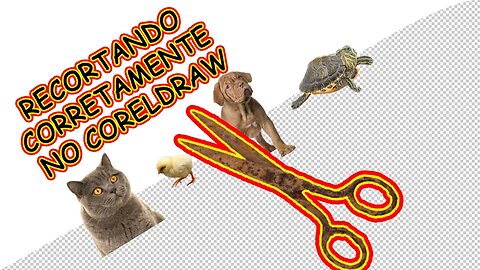 Recortando e Ajustando Fundo PNG Corretamente CORELDRAW