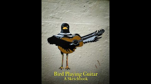 Bird playing