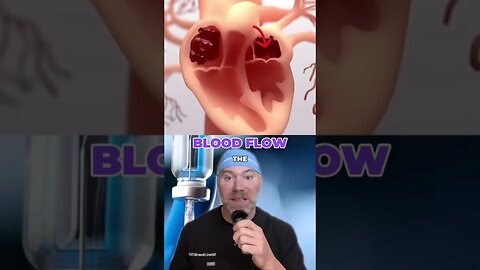 Heart Blood Flow in 10 Seconds 🩸 #shorts