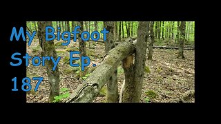 My Bigfoot Story Ep. 187 - Any Sign Of Bigfoot Around The Cottage