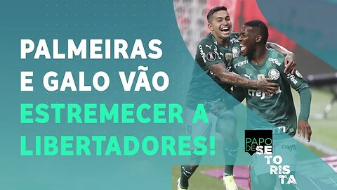O Palmeiras terá FORÇAS para ENCARAR o Atlético-MG na Libertadores? | PAPO DE SETORISTA