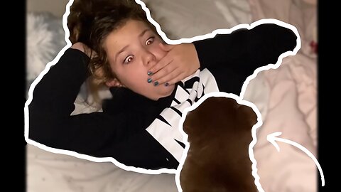 Young Girl Wakes Up To a Surprise Puppy! - Wholesome Video