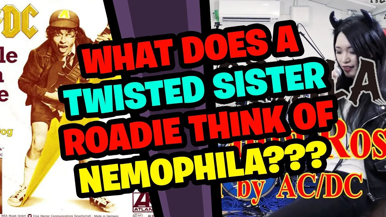 What does a Twisted Sister Roadie think of Nemophila AC/DC cover Whole ...