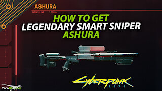 Cyberpunk 2077 Ashara Legendary Smart Sniper & Small Man Big Evil Gig