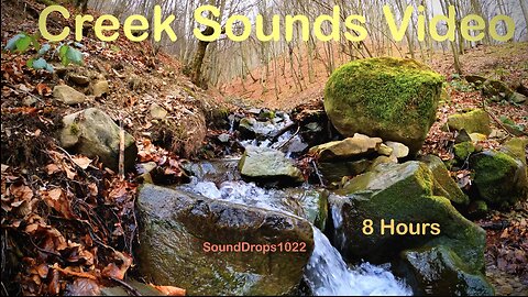 8 Hours Fall Sleep Sounds by the Creek